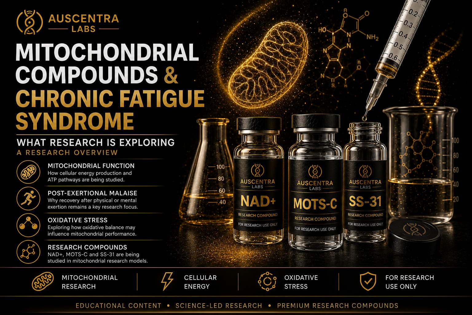 Mitochondrial Compounds & Chronic Fatigue Syndrome: What Research Is Exploring